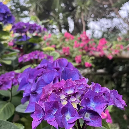 B&B Chateau De Vauville *