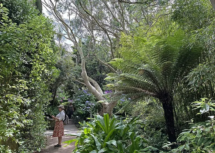 Bed & Breakfast Chateau De Vauville La Hague